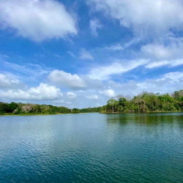 Tour Isla de los Monos - Imagen 3