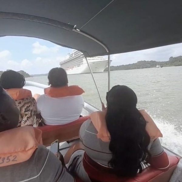 Tour Isla de los Monos - Imagen 7