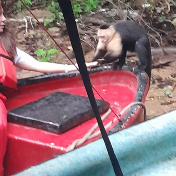 Tour Isla de los Monos - Imagen 5